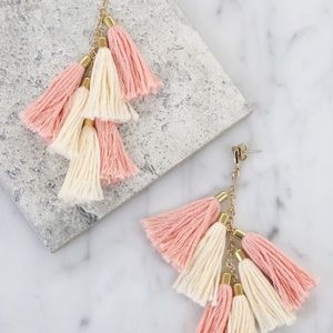 Ettika tassel earrings from FabFitFun box!